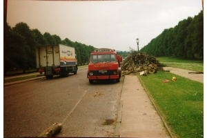 M Large : From Tree Services to Plant Hire