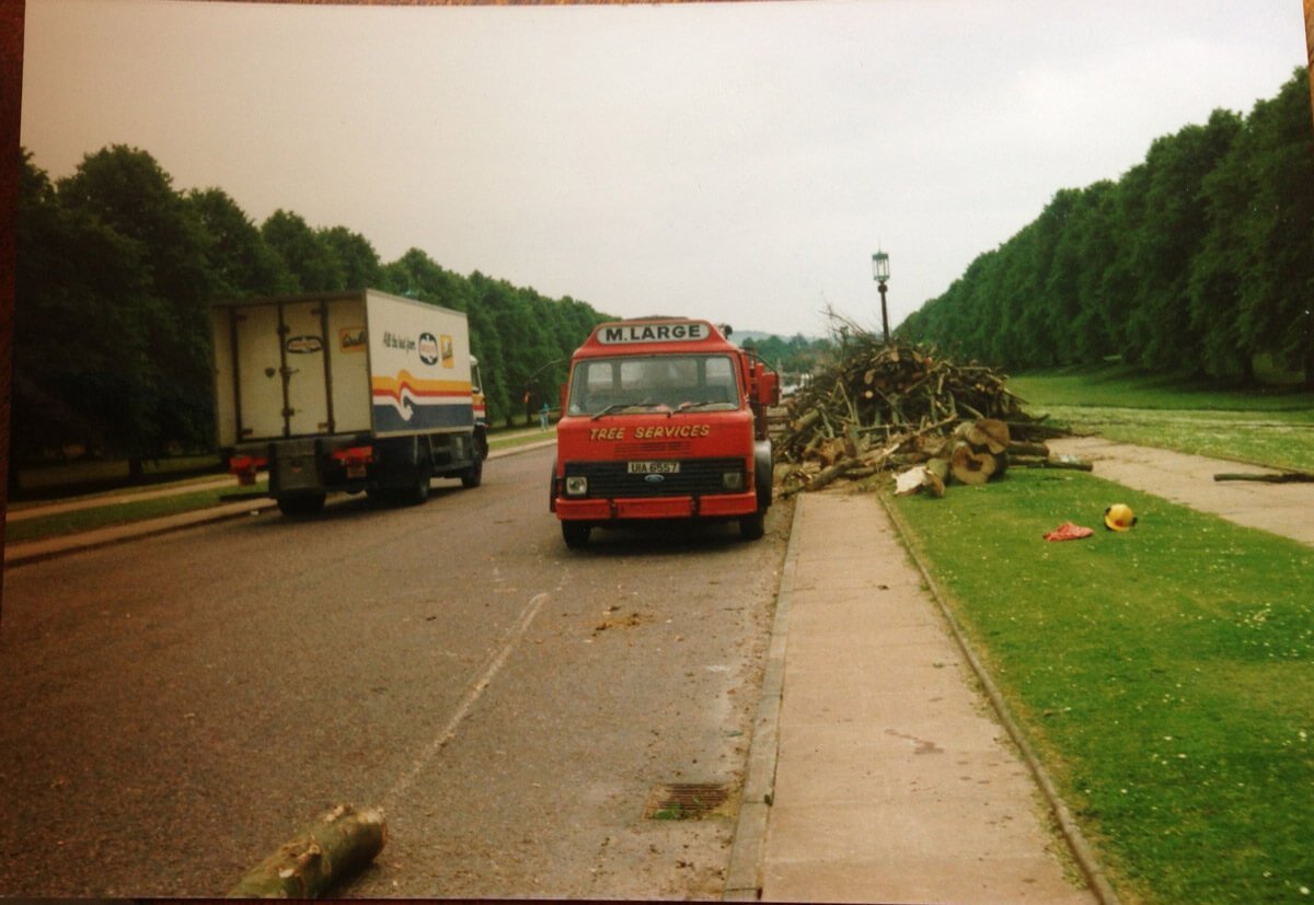 M Large : From Tree Services to Plant Hire